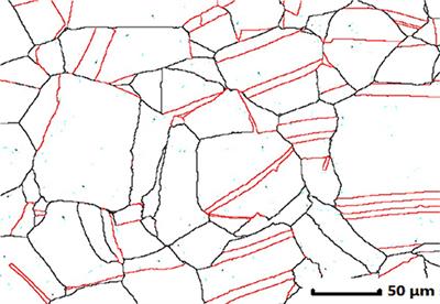 Nucleation and Grain Boundary Evolution in Dynamic Recrystallization of 316LN Steel During Hot Deformation